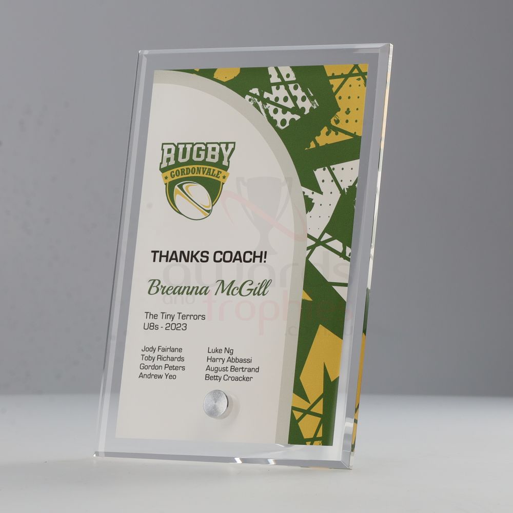 Rugby Team Colours Plaque V6 225mm